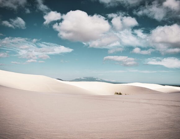 Exploring Cape Town’s Rich Natural Habitats: The Atlantis Dunes and the Witzands Aquifer Nature Reserve